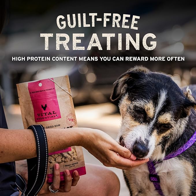 Vital Essentials Freeze Dried Minnows Dog Treats | Single Ingredient | Premium Quality | Grain Free Treats for Dogs, 1.5 oz Bag