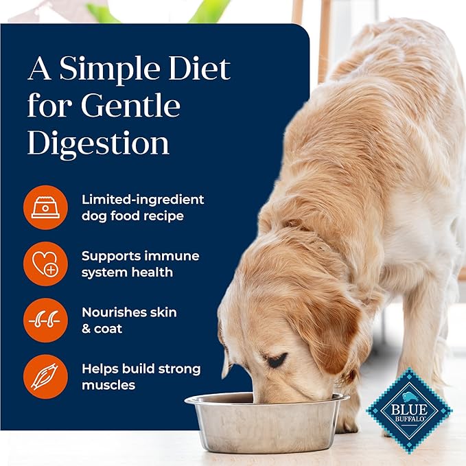 Blue Buffalo Basics Large Breed Adult Dry Dog Food, Skin & Stomach Care, Limited Ingredient Diet for Dogs, Turkey Recipe, 24-lb Bag