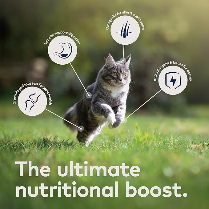 ZIWI Peak Canned Wet Cat Food – All Natural, High Protein, Grain Free, Limited Ingredient, with Superfoods (Rabbit & Lamb, 12-pack of 6.5oz Cans)