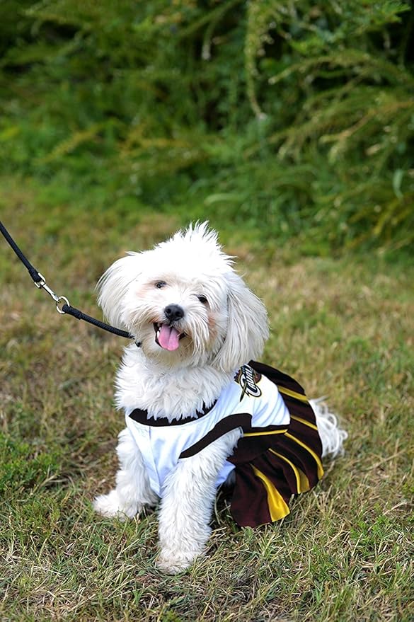 Pets First NBA Cleveland Cavaliers Cheerleader Dress, Small