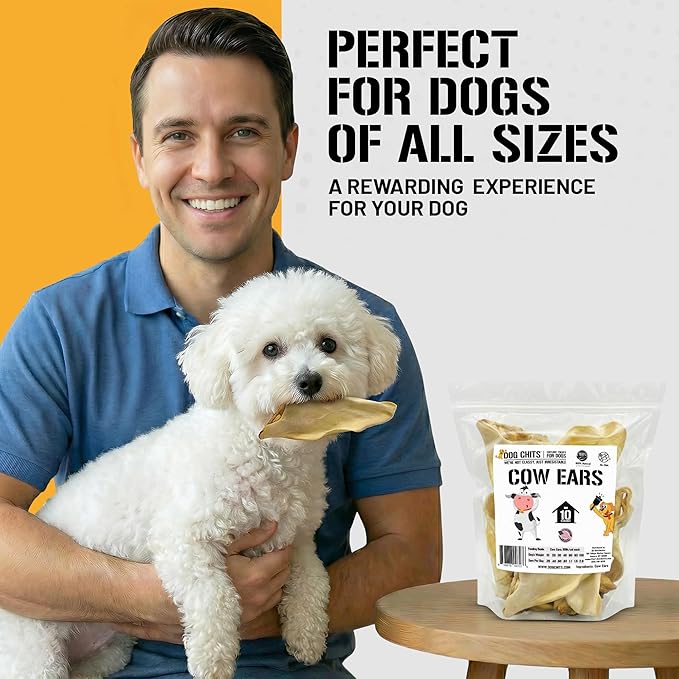 Dog Chits Cow Ears for Dogs – All Natural Cow Ear Dog Treats & Training Chews – High Protein, Low Fat – Thick Cut, Half Ears – Dental Clean Crunch – Ideal for Medium & Large Dogs – Large, 10 Pk