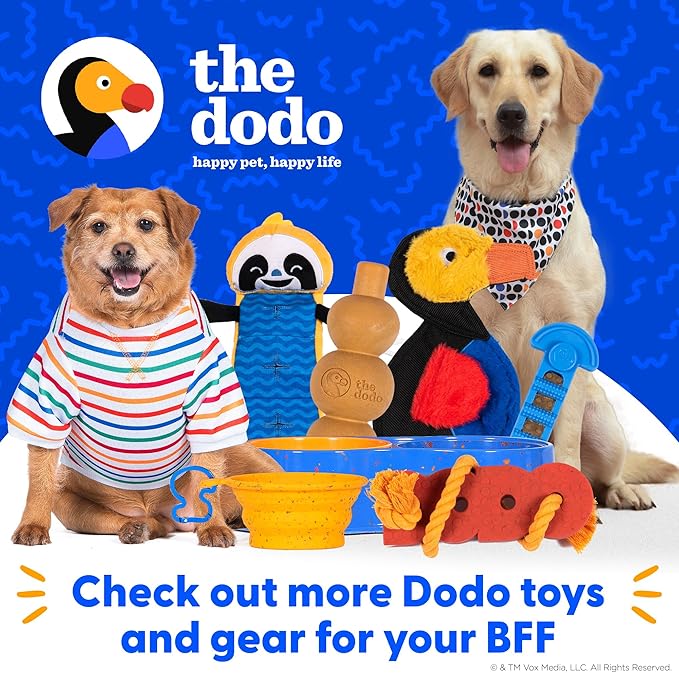 The Dodo #1 Dog T-Shirt for Dogs, Size Small; Black Dodo Print, Everyday Apparel for Dogs, Cute Dog Tee, Cute Clothes for Dogs, The Dodo for Dogs Collection