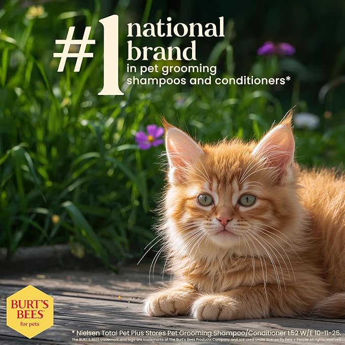 Burt's Bees for Pets Tearless Kitten Shampoo with Buttermilk and Honey, 99% Natural Origin Gentle Cat Shampoo for Sensitive and Itchy Skin, pH Balanced and Fragrance-Free, 10 Fl Oz - 6 Pack
