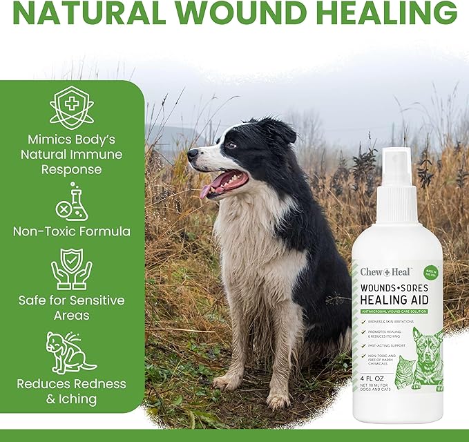 Chew + Heal Labs Hypochlorous Acid Spray for Dogs – 8oz Dog Wound Spray for Cuts, Burns, Sores, Abrasions, and More – Non Toxic and Chemical Free HOCI Wound Care – Made in The USA
