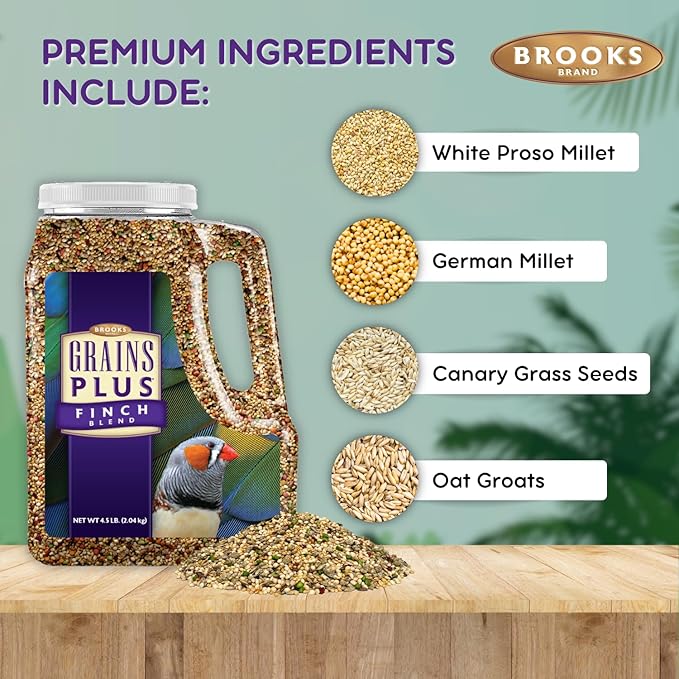 Brooks Brand Grains Plus Finch Blend Bird Food, Nyjer Seeds, Finches Bird Seed Mix, Gold Finch Niger Seeds for Birds, Finches Food for Indoor Birds (4.5 lbs)