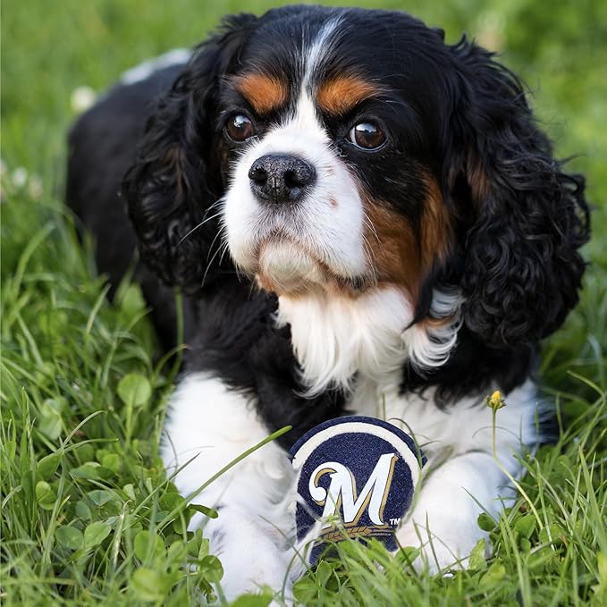 Pets First MLB Milwaukee Brewers Tennis Balls for Dogs & Cats - 2 Piece Set with Team Logo in Vibrant Team Color