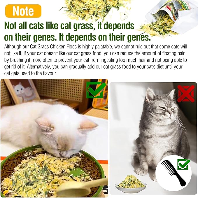 Freeze Drying Cat Grass Treats with Chicken & Egg Yolk - Natural Hairball Relief Snacks for Indoor Cats & Kittens, Healthy Digestive Support, 2.3 oz