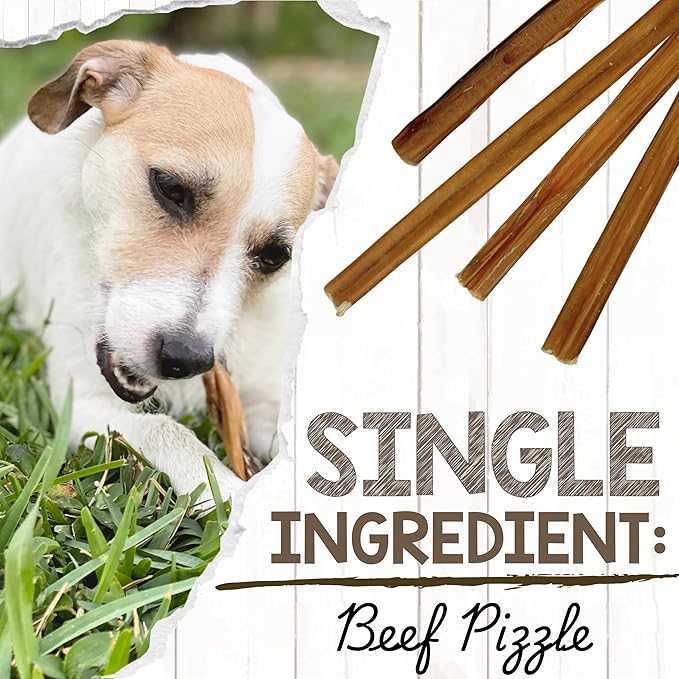 Nature Gnaws Small Bully Sticks for Dogs 5-6" (5 Count) - Long Lasting for Light Chewers and Puppies - Natural Thin Beef Dog Chew Bones - Rawhide Free