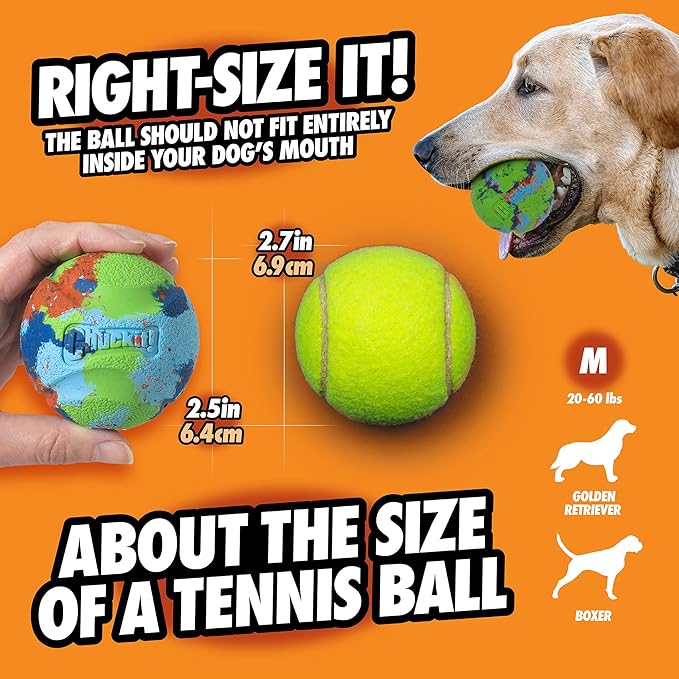 Chuckit! EcoFetch Fetch Ball Dog Toy, Medium (2.5 Inch Diameter) Pack of 2, for Breeds 20-60 lbs