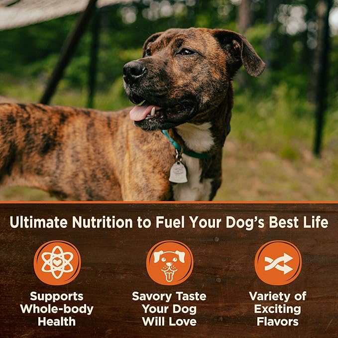 Wellness CORE Hearty Cuts Adult Canned Wet Dog Food, Grain Free, Natural, Beef and Venison Recipe, 12.5 oz, Pack of 12 Cans