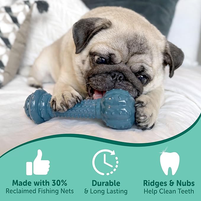 Nylabone Love Our Oceans Textured Barbell Power Chew Toy for Dogs, Recycled & Sustainable Chew Bones for Dogs, Dog Toys Made in USA, Bacon Flavor, Medium Dog Toys - Up to 35 lbs, 1 Count