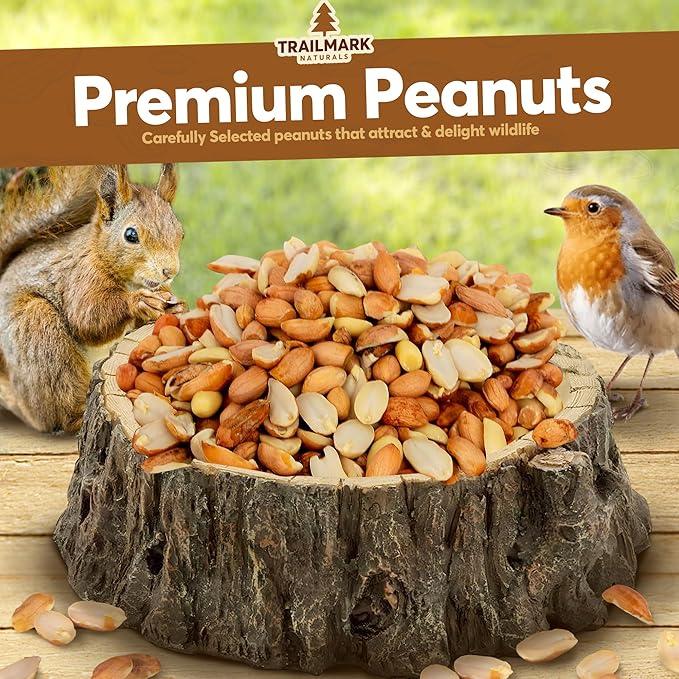10 LB - Raw Shelled Peanuts For Squirrels, Out of Shell Peanuts For Birds and Wildlife- Squirrel Food, Wild Bird Seed -Grown in The USA