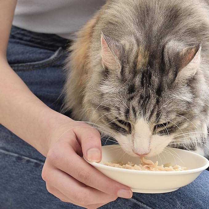 INABA Chicken Broth, Side Dish/Topper for Cats with Vitamin E, 1.76 Ounce Pouch, 8 Pouches Total, Chicken Recipe