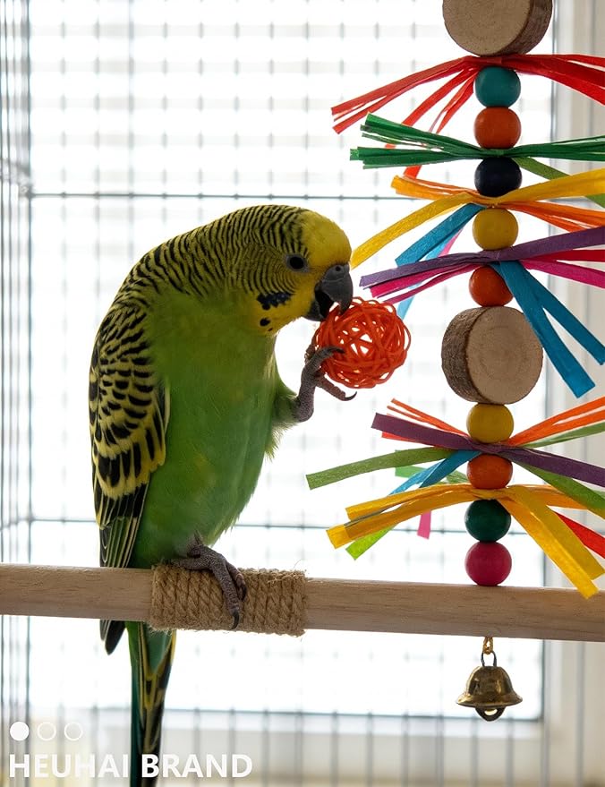 10-Pack Bird Toys – Colorful Fun for Conures, Budgies, Parakeets & Small Birds (1.5'' - 5.5'')