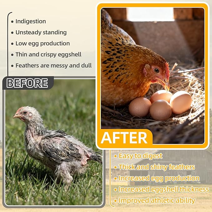 RAINFLOW Crushed Oyster Shell for Chickens - 15oz Calcium Supplement for Laying Hens, Supports Strong Eggshells,Natural Poultry Mineral for Backyard Chickens (Pack of 2)