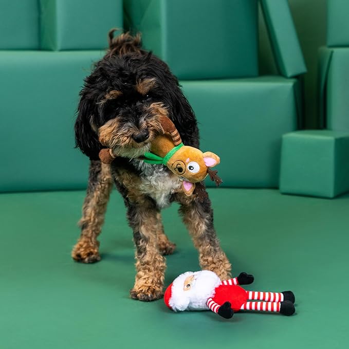 Fringe Studio Pet Toy, Friend at Frost Sight Plush Dog Toy 2 Piece Set, Santa & Reindeer, PetShop Collection (312062)