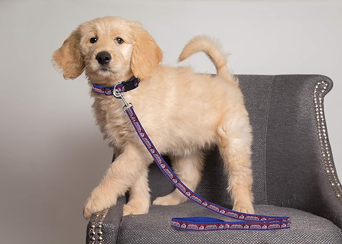 Pets First NHL Colorado Avalanche Leash for Dogs & Cats, Medium. - Walk Cute & Stylish! The Ultimate Hockey Fan Leash!, Medium (4 ft Long x 0.62 in Width) (AVA-3031-MD)