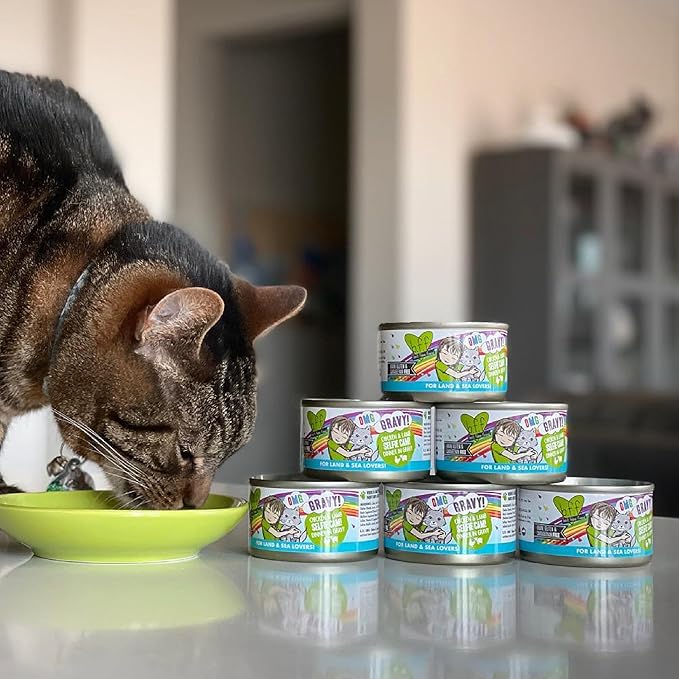 Weruva B.F.F. OMG - Best Feline Friend Oh My Gravy!, Tuna & Turkey Tell Me with Tuna & Turkey, 5.5oz Can (Pack of 8)
