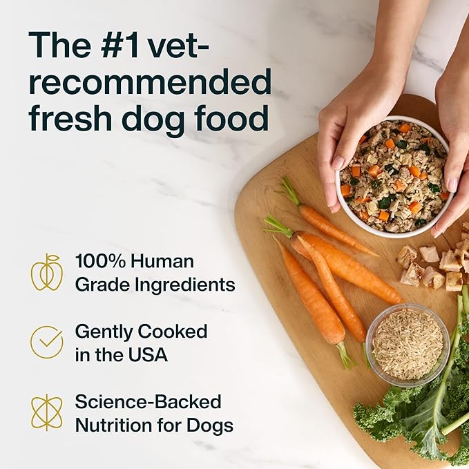 JustFoodForDogs Pantry Fresh Wet Dog Food, Complete Meal or Dog Food Topper, Chicken & White Rice Human Grade Dog Food Recipe - 12.5 oz (Pack of 12)