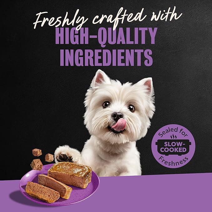 Cesar Classic Loaf in Sauce Wet Dog Food, Beef Recipe, Filet Mignon Flavor, Grilled Chicken Flavor, and Porterhouse Steak Flavor, 3.5 oz. Easy Peel Trays, Variety Pack (24 Count, Pack of 1)