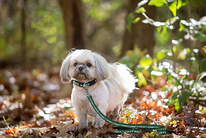 Pets First NHL Dallas Stars Leash for Dogs & Cats, Walk Cute & Stylish! The Ultimate Hockey Fan Leash!, Large (6 ft Long x 1 in Width) (STR-3031-LG)