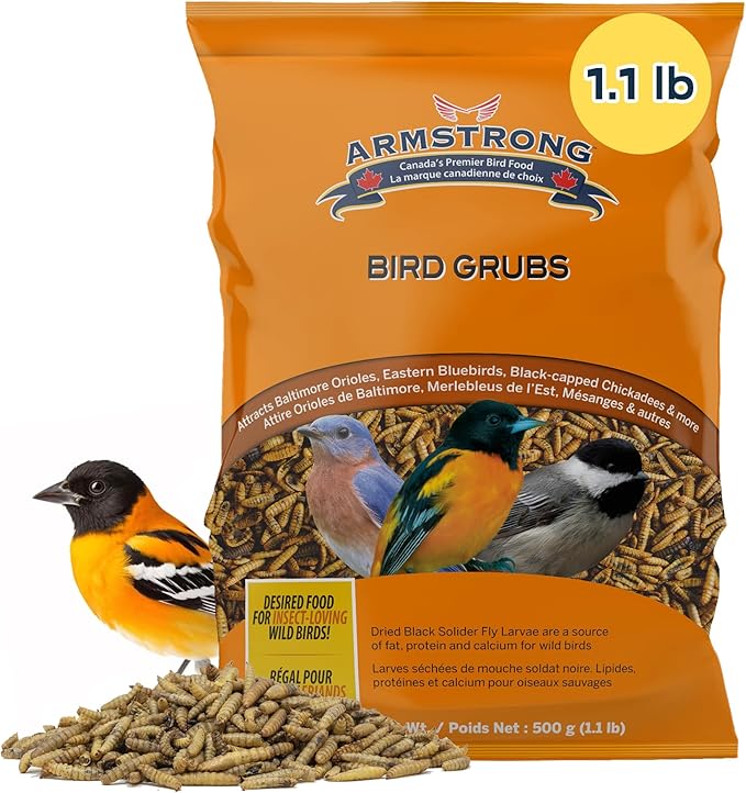 Armstrong Bird Grub Dried Black Soldier Fly Larvae, 1.1 Pounds - High-Calcium, Natural Mealworm Alternative for Orioles, Bluebirds, & Chickadees - Ideal for Outdoor Feeders