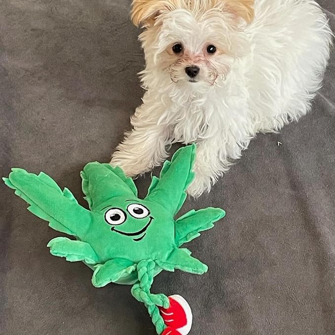 My Name is MJ, Cute Stuffed Parody Marijuana Leaf Dog Toy, Funny Squeaky Weed Toy, Cool Plush Novelty 420 Gift for Puppies & Small, Medium & Large Breeds, for Fetch & a Photo Prop, Shelf-Sitter