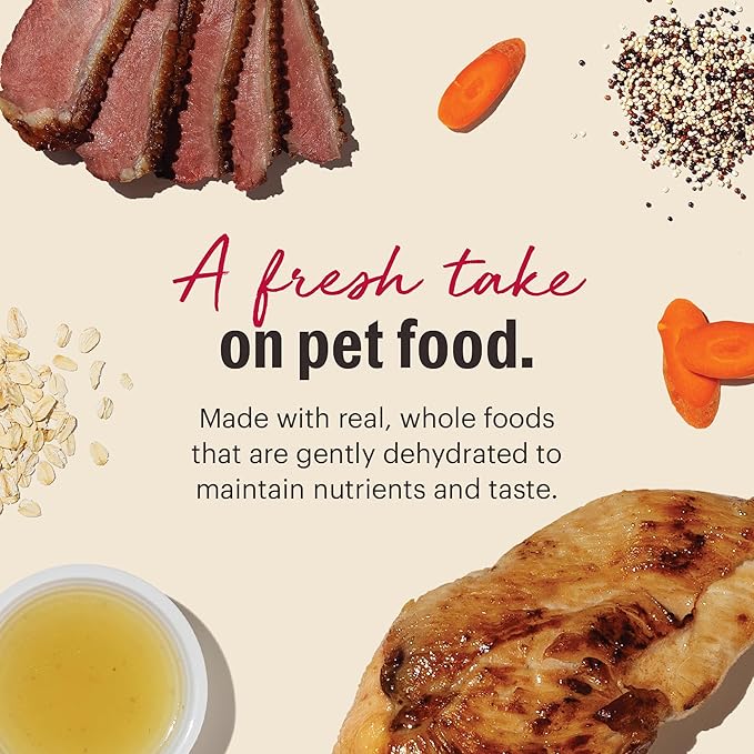 The Honest Kitchen Human Grade Dehydrated Dog Food, Gourmet Grains Dog Food, Chicken & Duck, 4 lb (makes 16lbs)
