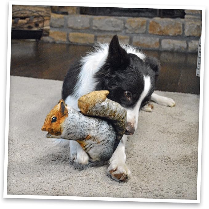 Doggijuana Refillable Juananip Toy Bundle | Squirrel Bundle | Funny Dog Toy Plush with Catnip and Refill | Calming Aid for Dogs | Interactive Chew Toy for Play