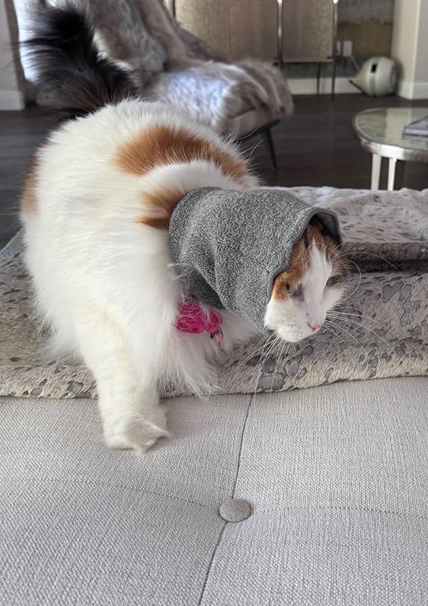 Pet Hoodz for Cats, Anxiety, Grooming, Ear Muffs, Cat Ear Protection, Calming, Ear Compression, Pet Hoodie, Cat Hoodie, Soft-Expandable Fabric for Cats, (Blue, LRG)