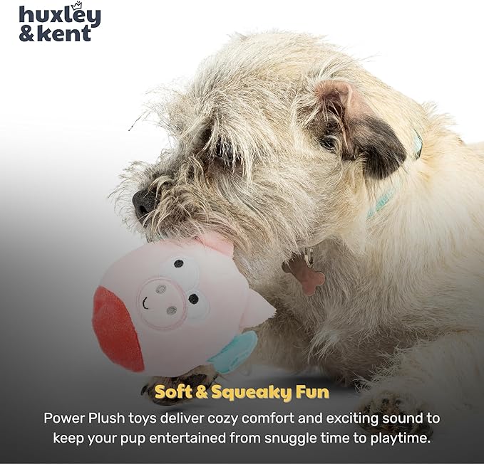 Huxley & Kent Funny Dog Toy w/Squeaker – Power Plush Squeaky Dog Toys for Small Dogs – Durable Small Stuffed Animal for Indoor Play & Fetch - Tiny Tuff Flying Piggasus
