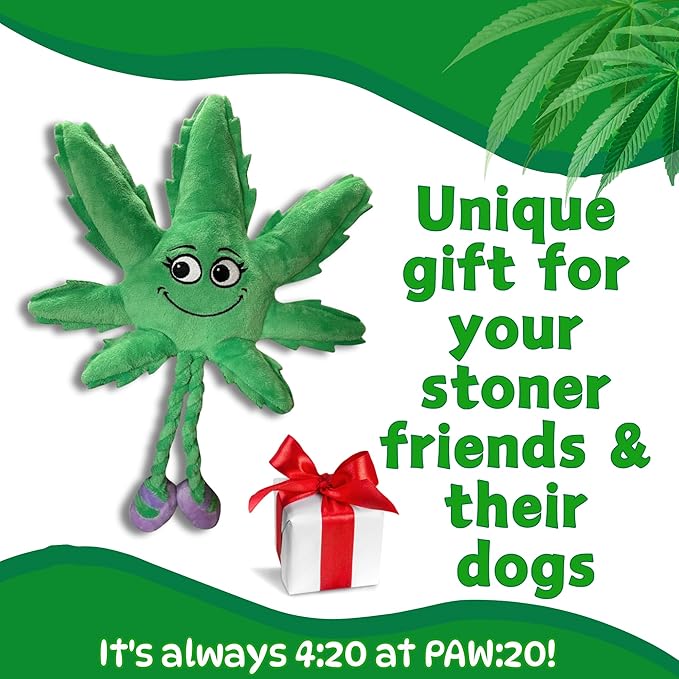 My Name is Mary Jane, Cute Stuffed Parody Marijuana Leaf Dog Toy, Funny Squeaky Weed Toy, Cool Plush Novelty 420 Gift for Puppies & Small, Medium & Large Breeds, For Fetch & a Photo Prop, Shelf-Sitter