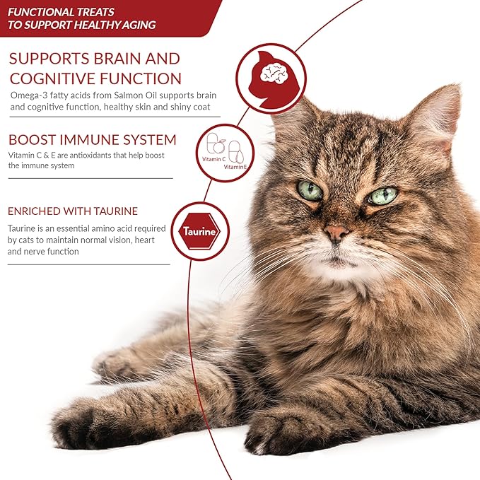 INABA Churu for Senior 10+, Creamy Lickable Cat Treats with Taurine, Vitamin E & C, 0.5 Ounces Each, 24 Tubes (4 per Pack), Tuna with Salmon Recipe