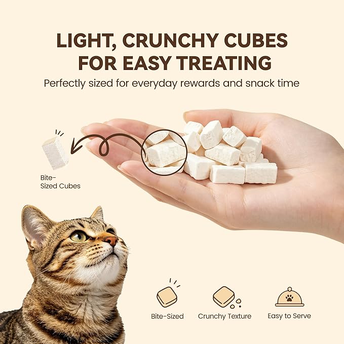 Freeze-Dried Kitten Treats with Goat Milk & Chicken – Supports Digestive Comfort & Natural Immune Health, Healthy Snacks Love By Adults & Seniors (2.5 oz)