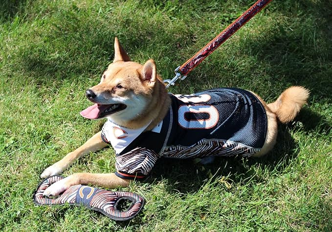Zubaz NFL Team Logos and Colors Tug Dental Toy with Squeaker for Dogs & Cats, Miami Dolphins