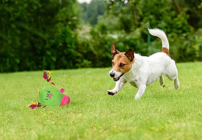 Pets First Plush Pet Toy with Rope & Squeaker by LaurDIY Super Cute Dog Cactus Toy