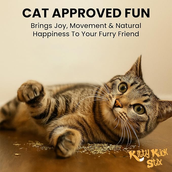 Kitty Kick Stix Premium Bulk Catnip - Made in USA 100% Natural, Enticing Catnip Treats for Catnip Toys, Catnip Spray, & Cat Accessories. Safe & Non-Addicitve Catnip for Kittens (Single Jar)