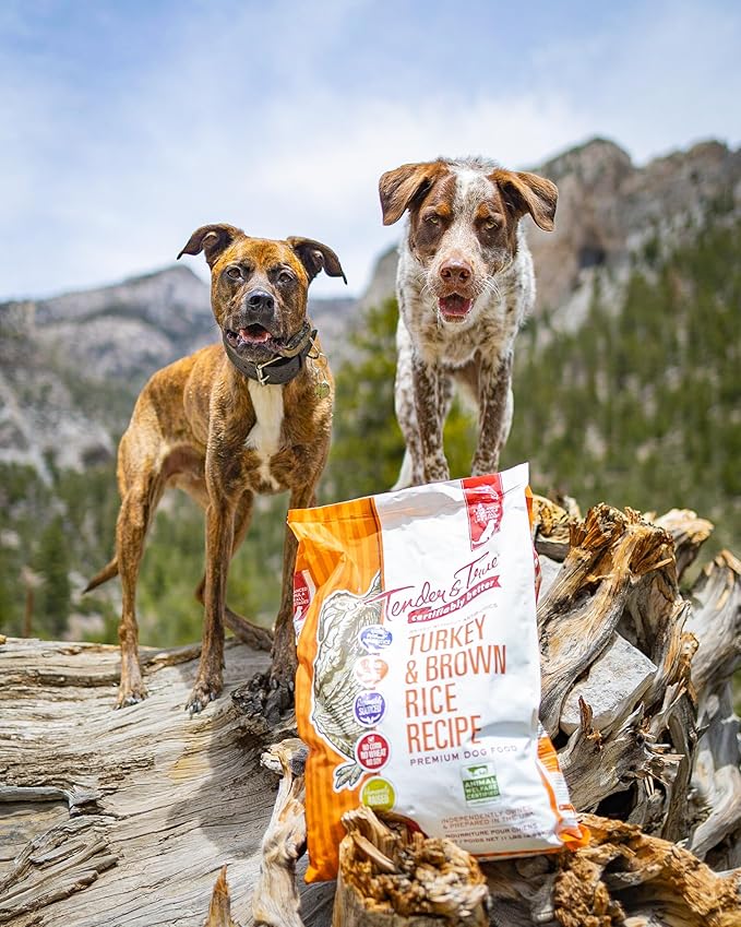 Turkey & Brown Rice Recipe Dry Dog Food