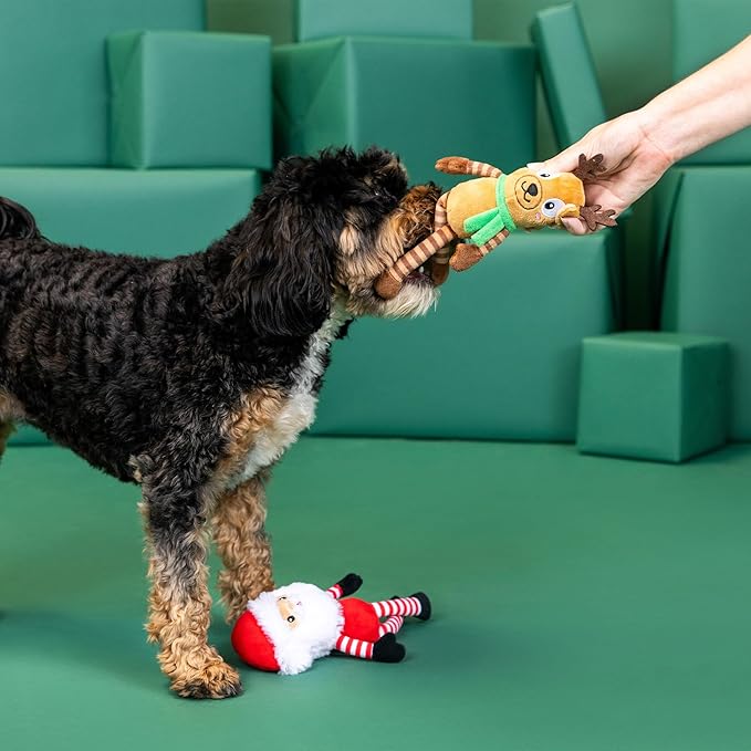 Fringe Studio Pet Toy, Friend at Frost Sight Plush Dog Toy 2 Piece Set, Santa & Reindeer, PetShop Collection (312062)