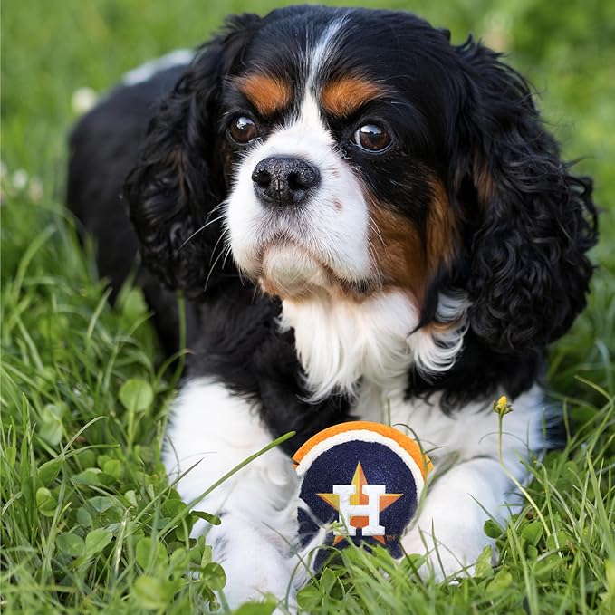 Pets First MLB Houston Astros Tennis Balls for Dogs & Cats - 2 Piece Set with Team Logo in Vibrant Team Color