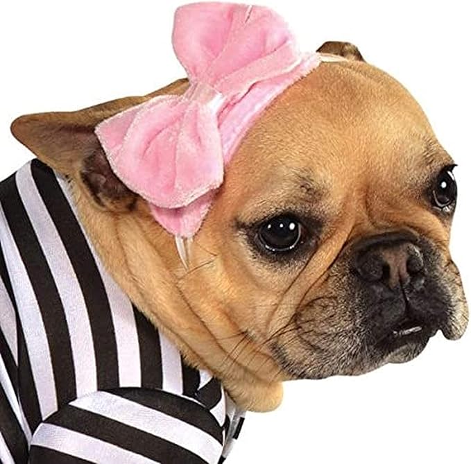 Rubies Fifties Girl Pet Costume for Dogs or Cats, Medium