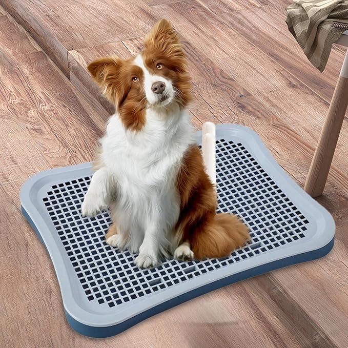 Pet Cat Training Toilet Tray Potty Easy to Clean Litter Bedding Box Urinal Dog Potty Tray Pee Pad for Small Animals Pets Accessories, Cyan