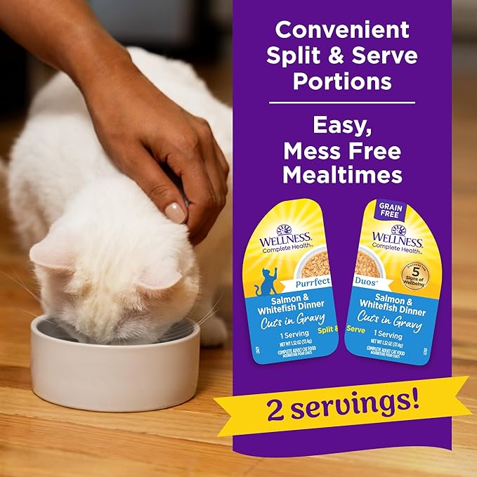 Wellness Complete Health Purrfect Duos Cuts in Gravy Adult Wet Cat Food, Natural, Protein Rich, Grain Free, Salmon and Whitefish Dinner Recipe, 2.64 oz, Pack of 12 Split Cups