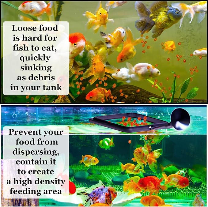 SunGrow Fish Food Feeding Ring, Stop Water Turbulence from Washing Food & Floating Plants into Filtration System, Suitable for Flakes & Floating Fish Pellets (3 Pieces)