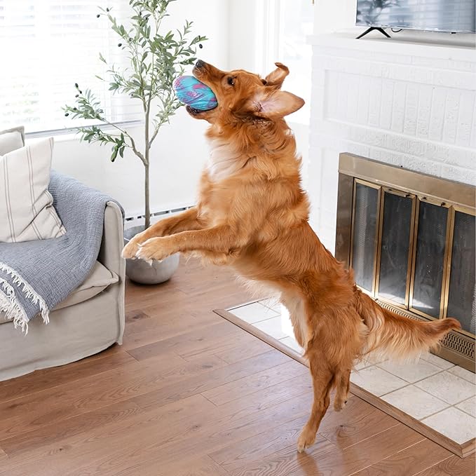 Outward Hound Grunt N' Punt Football Dog Toy - Throwing, Fetching Fun (Pack of 2)