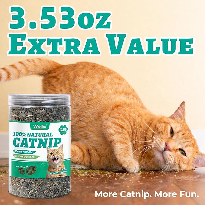 Wellix 3.53oz Fresh Catnip for Cats, Natural Dried Catnip Leaves, Flowers & Stems - Fresh Aroma, Used as Treats or Refillable Cat nip Toys, Non-addtictive, Safe for Indoor Kittens