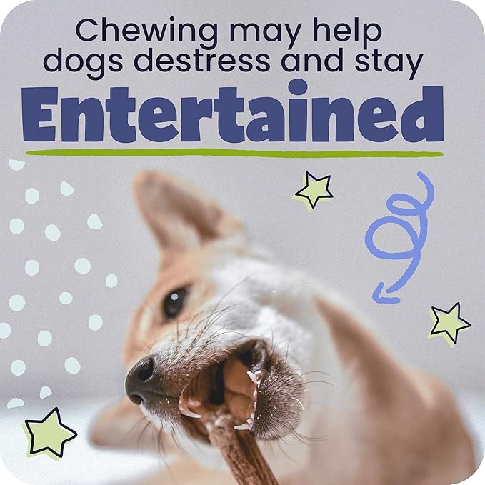 Pawstruck All-Natural 4" Bully Stick Rings for Dogs - Rawhide-Free, 100% Beef, Single Ingredient Dental Chew Bones - Fully Digestible, Low Odor - 10 Count - Packaging May Vary