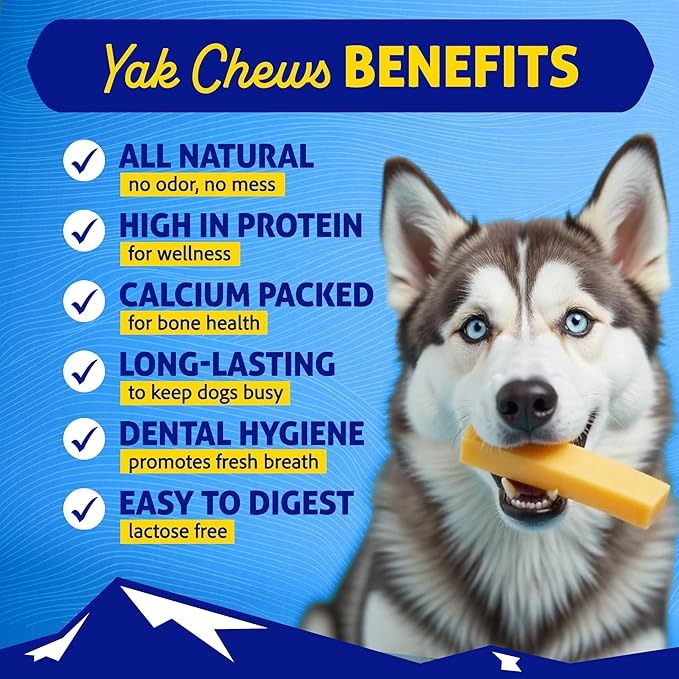Himalayan Dog Chew Bacon Yak Cheese Dog Chews, The Better-for-You Chew, 100% Natural Long Lasting, Healthy Dog Treats, Lactose & Grain Free, Protein Rich, for Dogs 65 Lbs & Smaller, 4-Count