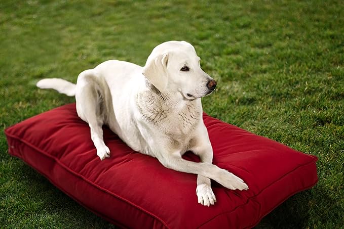 Sunbrella Double Sided Dog Bed for Indoor/Outdoor,Washable Cover & Chew Proof, Pets Mat for Multipurpose, Easy Care & Pet Safe Products (Small, Polyester, Cherry Red, 26”x18”x 3")