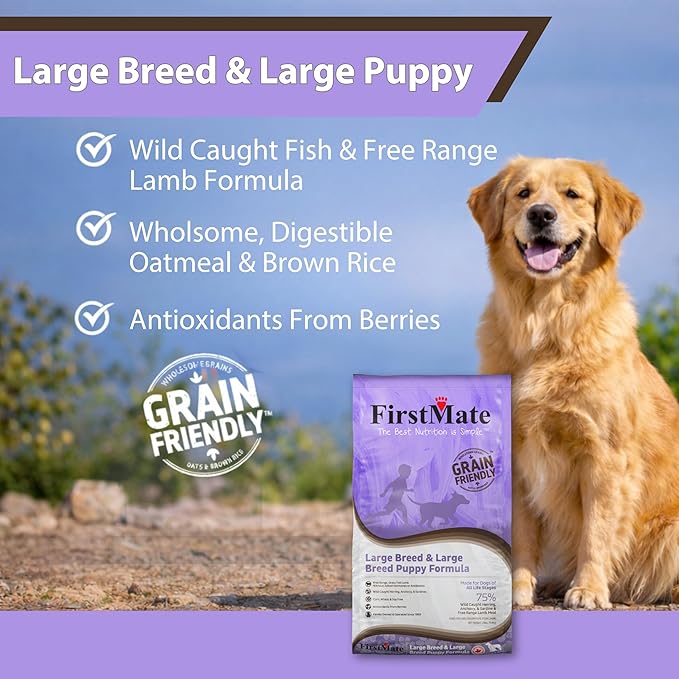 FirstMate Grain Friendly Dog Food Large Breed & Large Breed Puppy Formula – Wild Caught Fish & Grass Fed Lamb, Dry Dog Food for Growth & Joint Support, Pea Free & Potato Free – 25 lb Bag